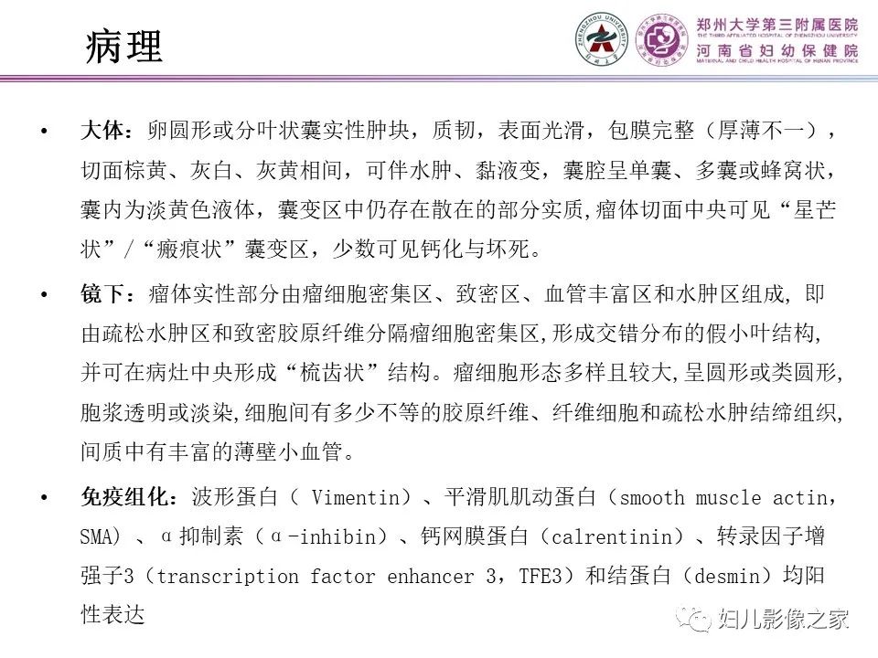 影像PPT - 【PPT】卵巢硬化性间质瘤-4