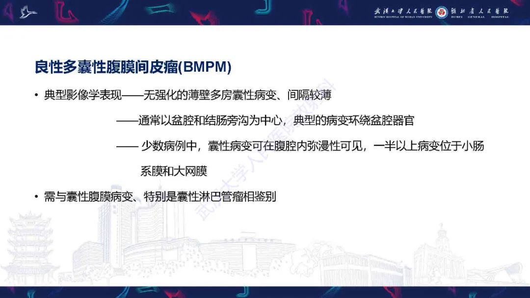 影像PPT - 【PPT】腹膜间皮瘤影像诊断-19