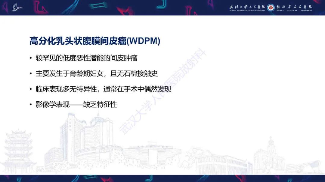 影像PPT - 【PPT】腹膜间皮瘤影像诊断-24