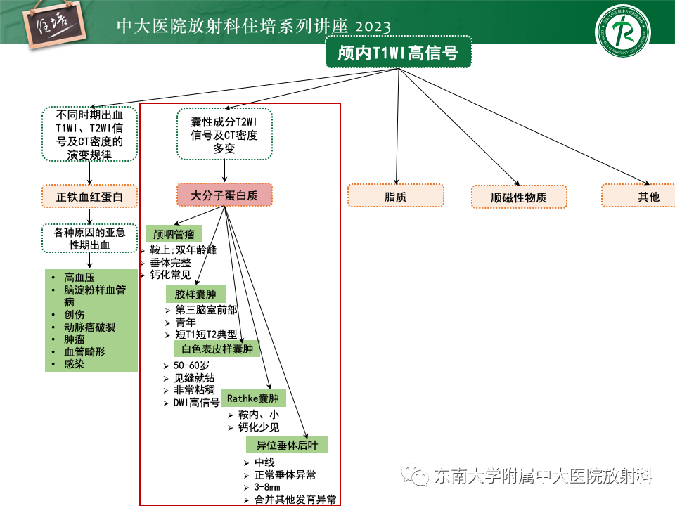 影像PPT - 【PPT】成人颅内T1WI高信号病变分析思路-20