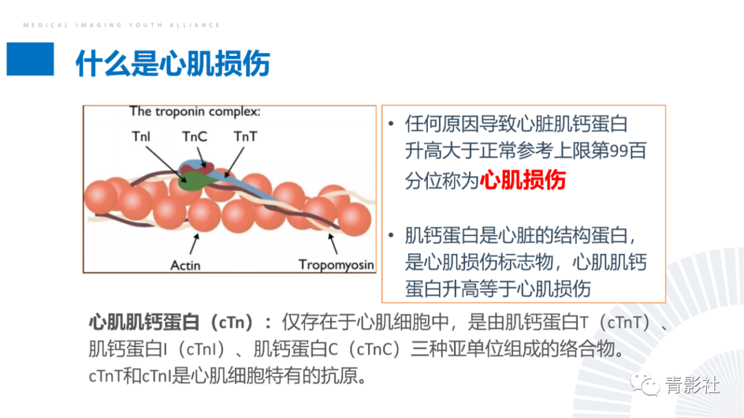 影像PPT - 【PPT】CMR在非冠状动脉阻塞性急性心肌损伤中的价值-3