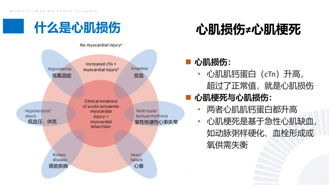 影像PPT - 【PPT】CMR在非冠状动脉阻塞性急性心肌损伤中的价值-4