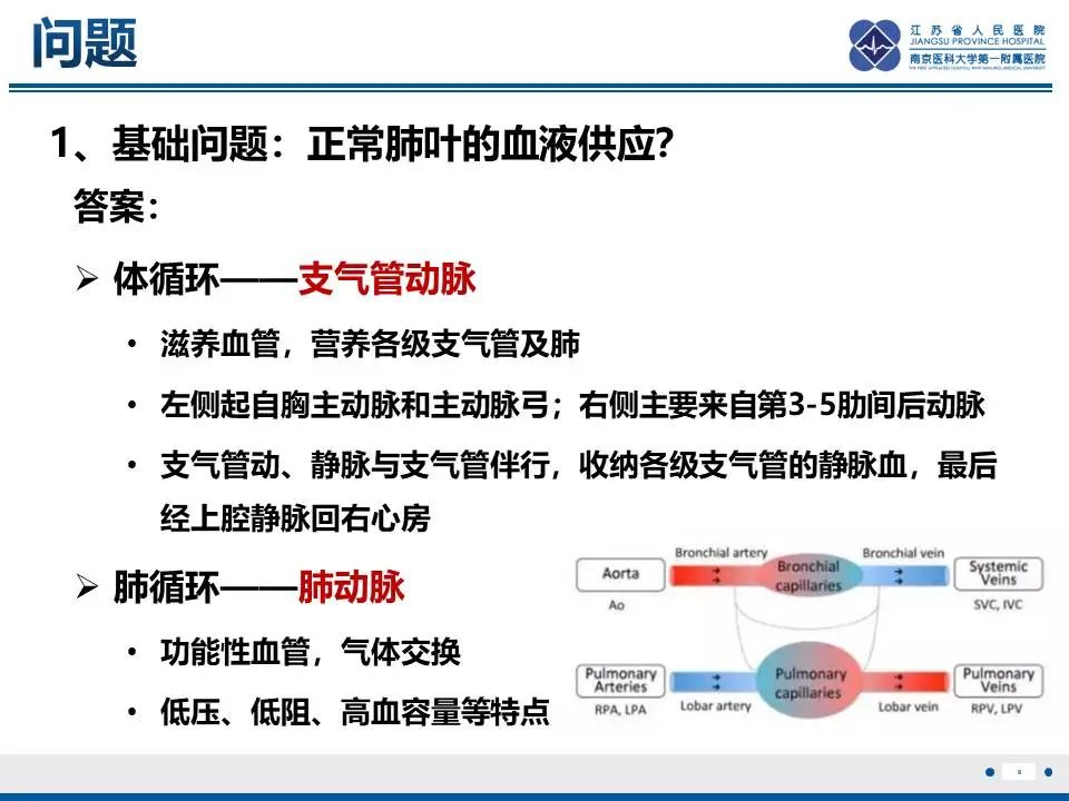 影像PPT - 【PPT】异常体循环供血左肺下叶基底段-9
