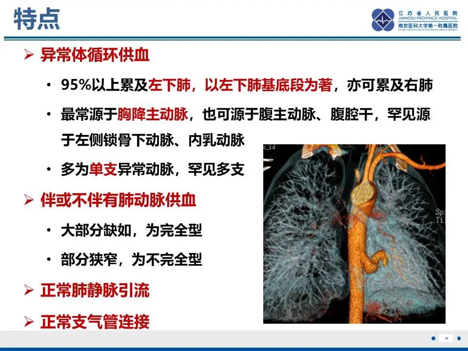影像PPT - 【PPT】异常体循环供血左肺下叶基底段-21