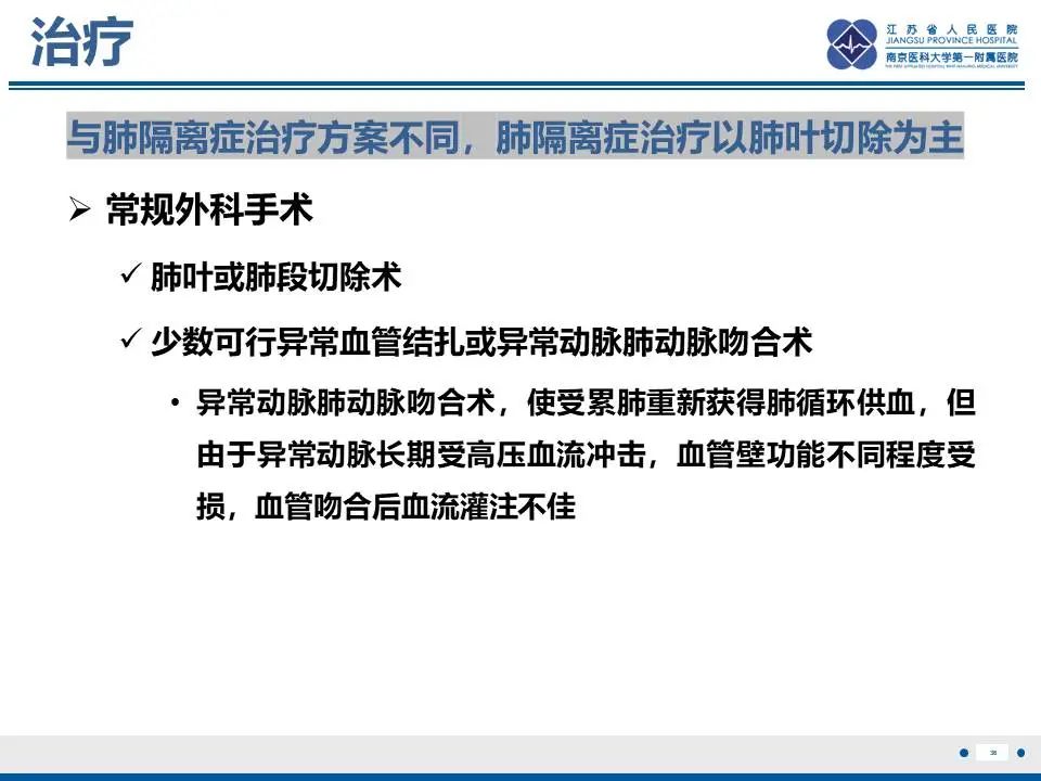 影像PPT - 【PPT】异常体循环供血左肺下叶基底段-37