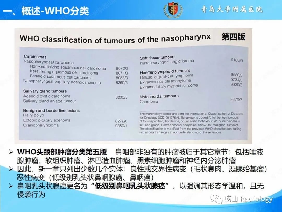 影像PPT - 【PPT】鼻咽病变的影像诊断思路-3