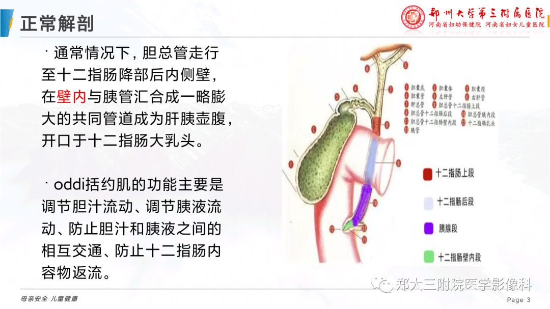 影像PPT - 【PPT】儿童胰胆管合流异常影像表现-3