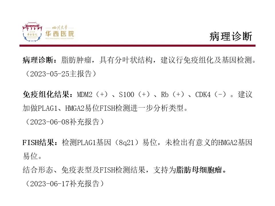影像PPT - 【病例】脂肪母细胞瘤1例CT影像-9