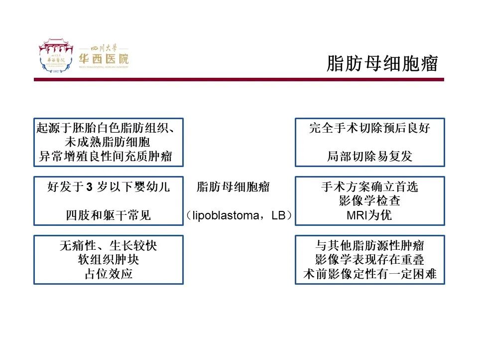 影像PPT - 【病例】脂肪母细胞瘤1例CT影像-10