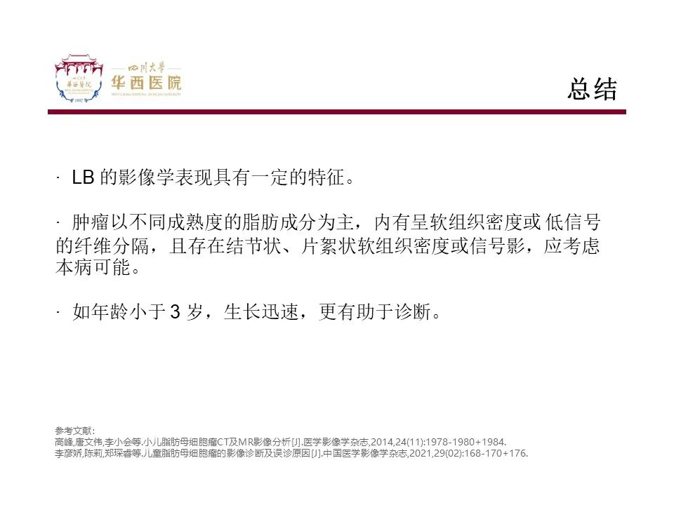 影像PPT - 【病例】脂肪母细胞瘤1例CT影像-13