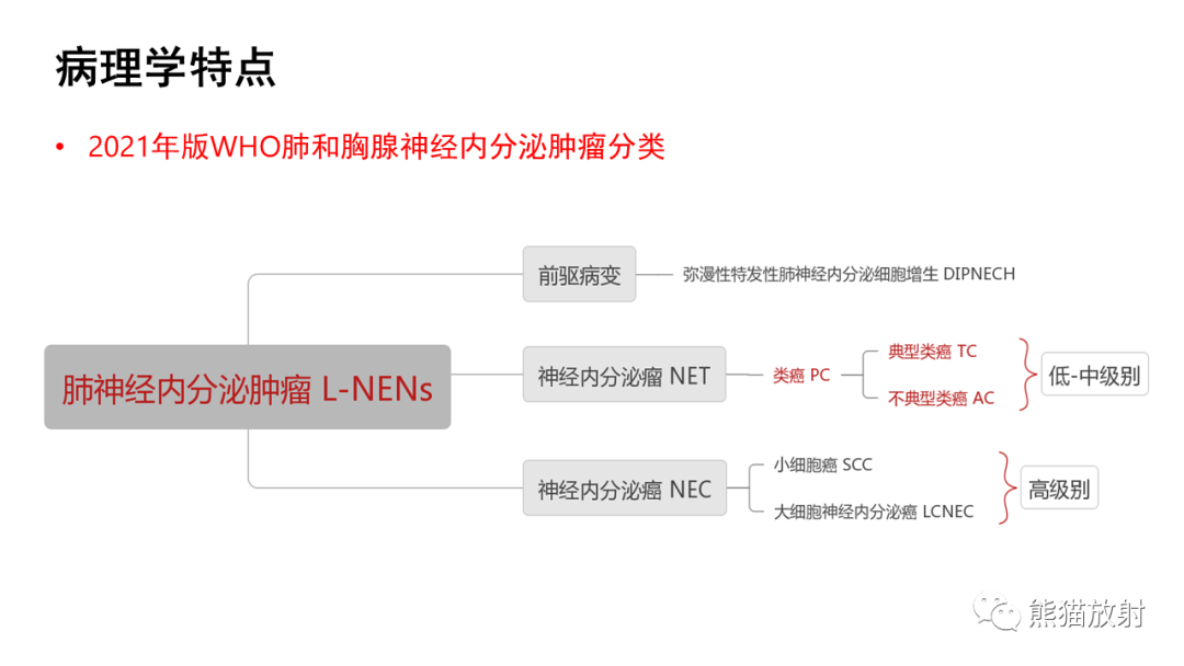 影像PPT - 【病例】肺典型类癌 VS 不典型类癌-15