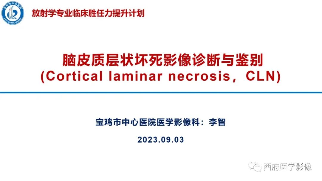 影像PPT - 【PPT】脑皮质层状坏死影像诊断与鉴别-1