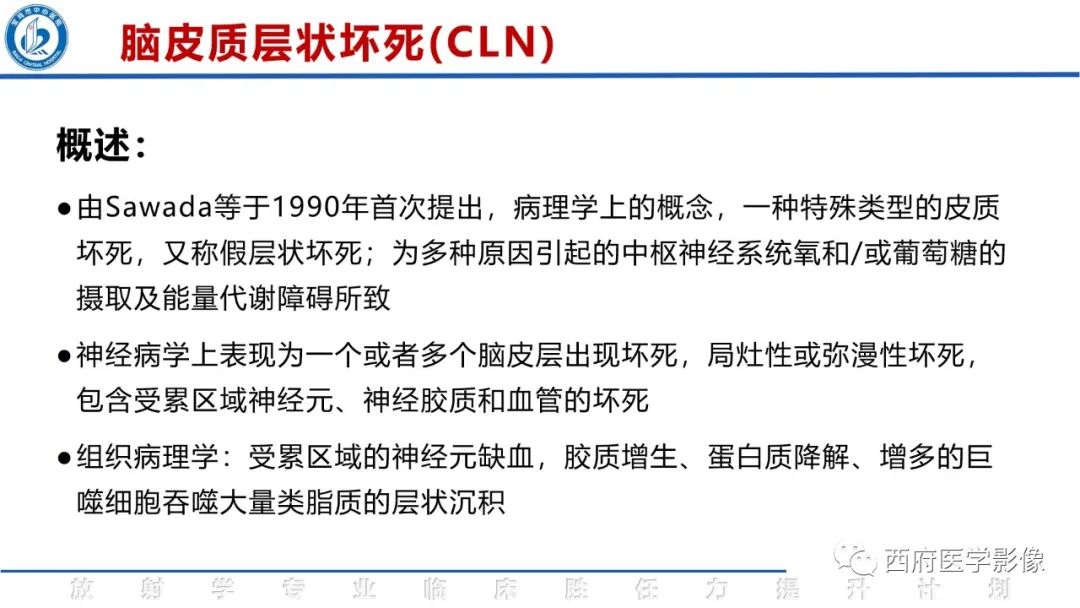 影像PPT - 【PPT】脑皮质层状坏死影像诊断与鉴别-9