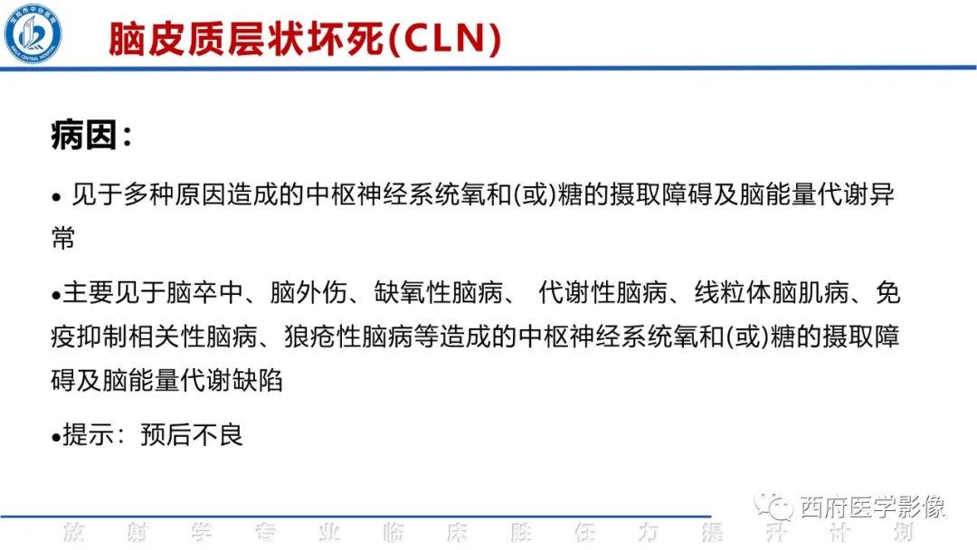 影像PPT - 【PPT】脑皮质层状坏死影像诊断与鉴别-10