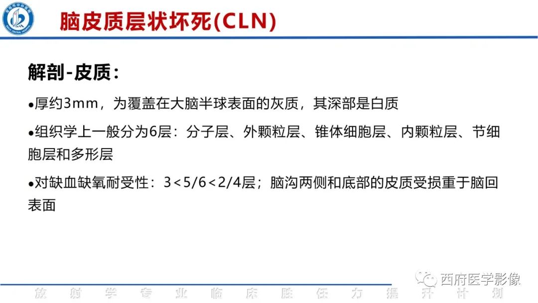 影像PPT - 【PPT】脑皮质层状坏死影像诊断与鉴别-11