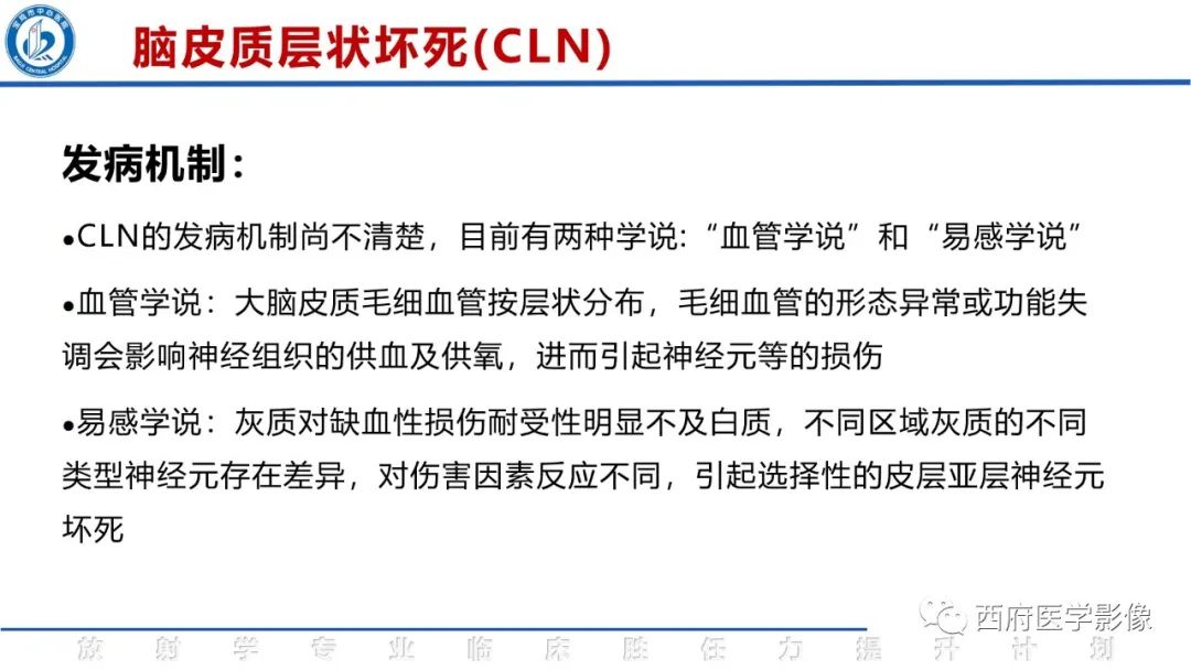 影像PPT - 【PPT】脑皮质层状坏死影像诊断与鉴别-13