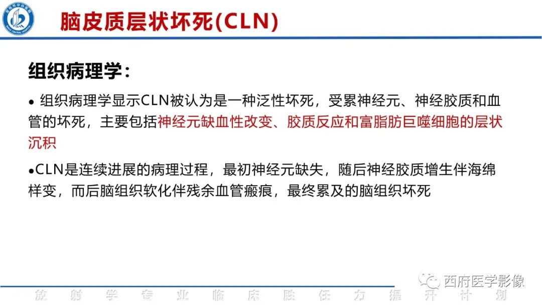 影像PPT - 【PPT】脑皮质层状坏死影像诊断与鉴别-14