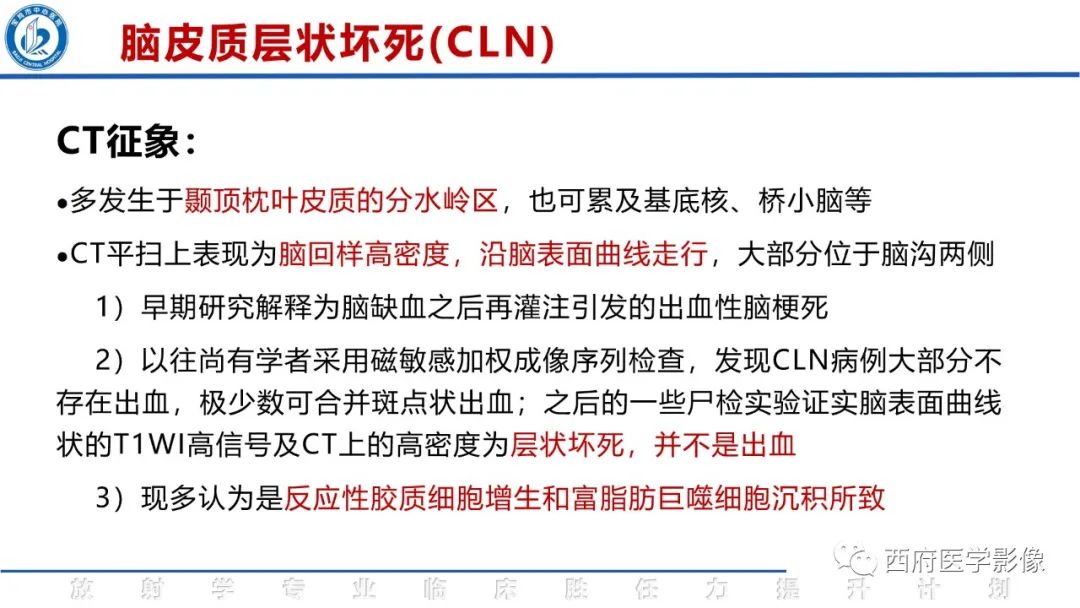 影像PPT - 【PPT】脑皮质层状坏死影像诊断与鉴别-16