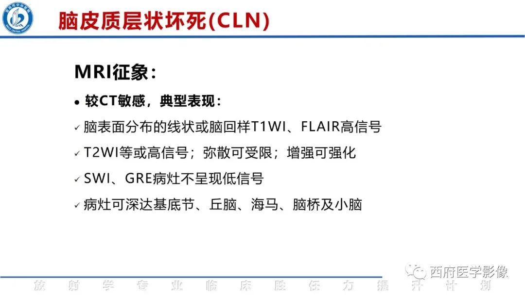 影像PPT - 【PPT】脑皮质层状坏死影像诊断与鉴别-20
