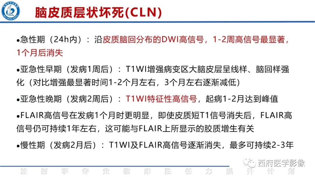 影像PPT - 【PPT】脑皮质层状坏死影像诊断与鉴别-21