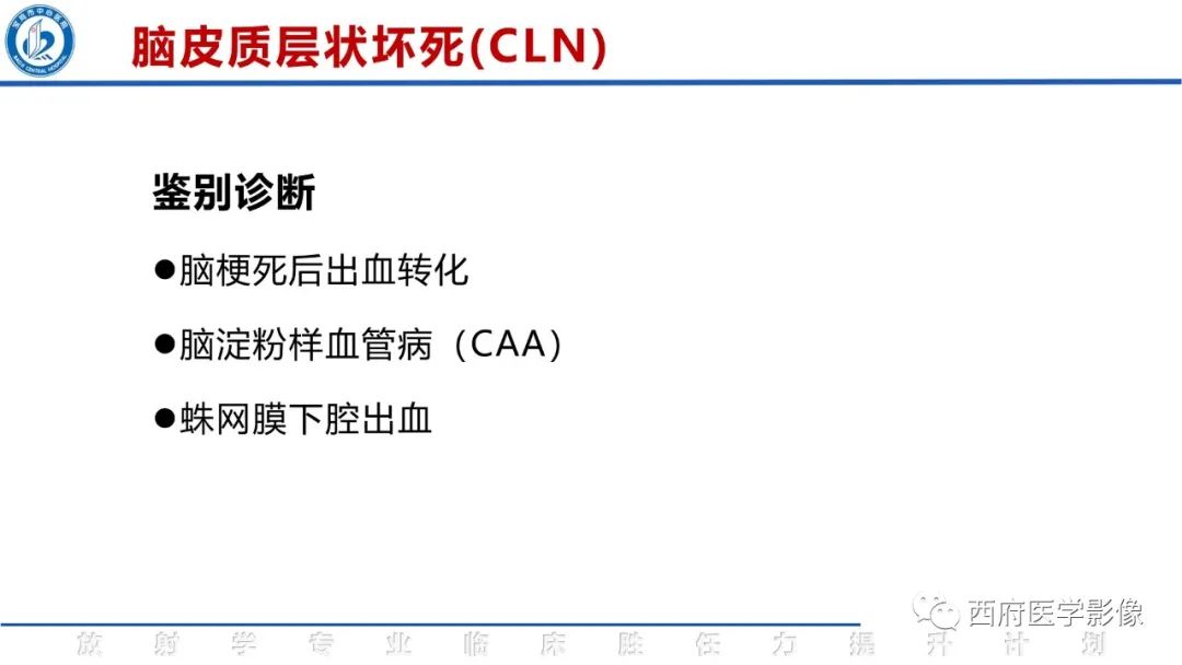 影像PPT - 【PPT】脑皮质层状坏死影像诊断与鉴别-31