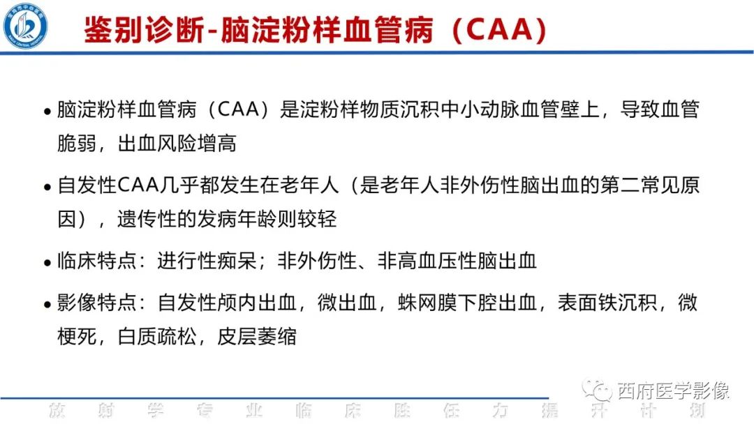 影像PPT - 【PPT】脑皮质层状坏死影像诊断与鉴别-36