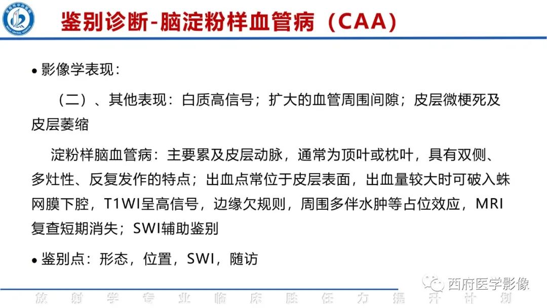 影像PPT - 【PPT】脑皮质层状坏死影像诊断与鉴别-38