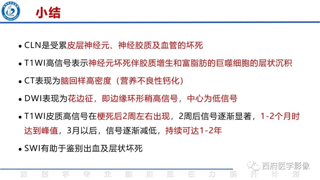影像PPT - 【PPT】脑皮质层状坏死影像诊断与鉴别-42