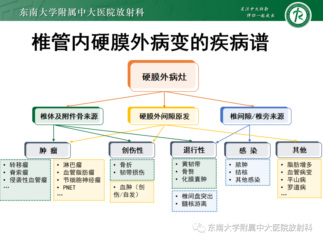 影像PPT - 【PPT】椎管内硬膜外间隙病变-24