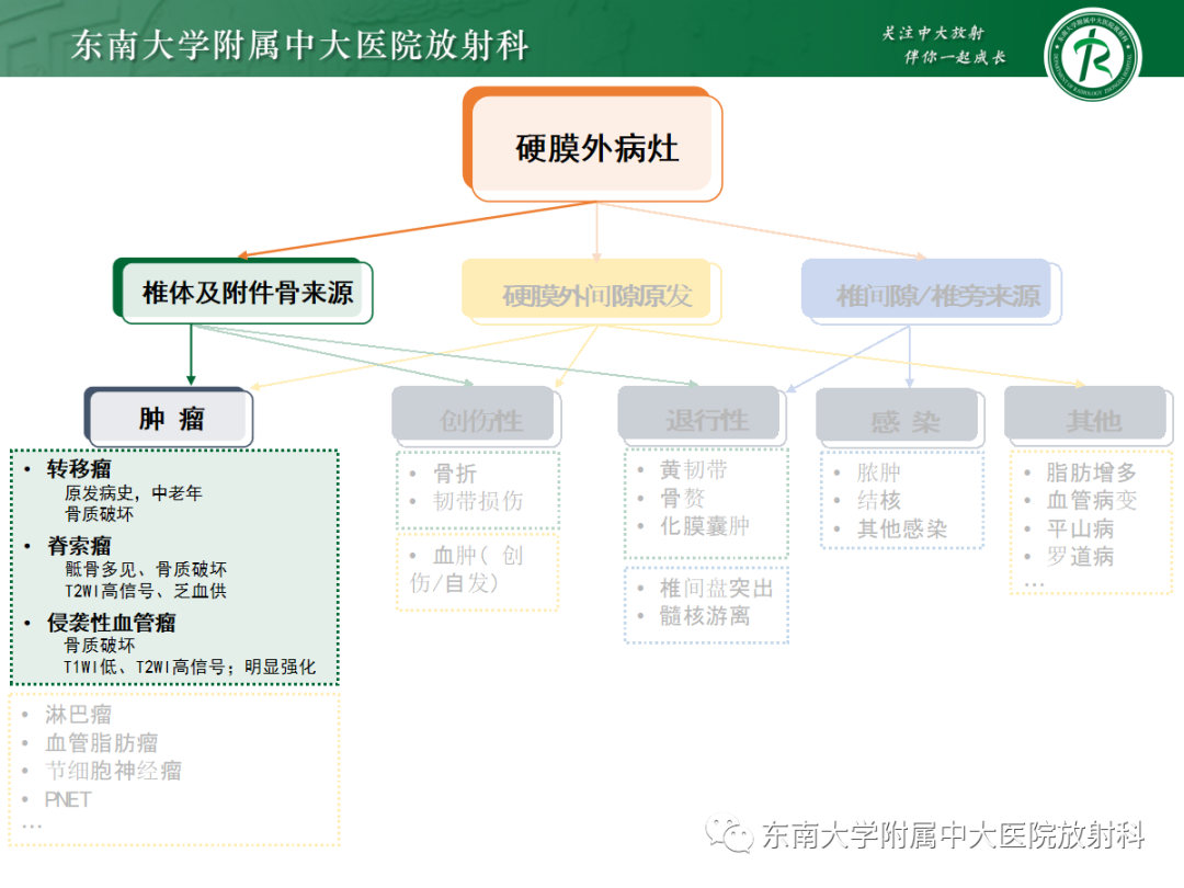 影像PPT - 【PPT】椎管内硬膜外间隙病变-29