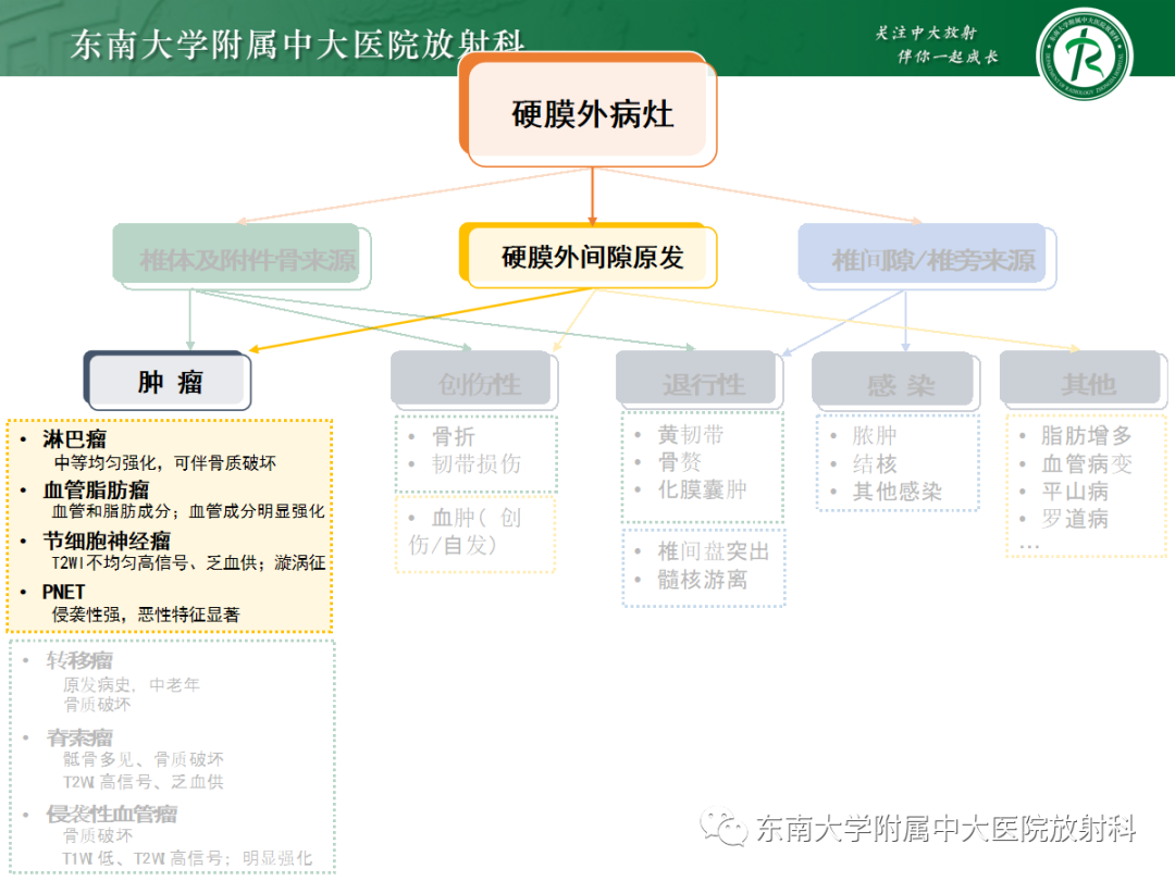 影像PPT - 【PPT】椎管内硬膜外间隙病变-42