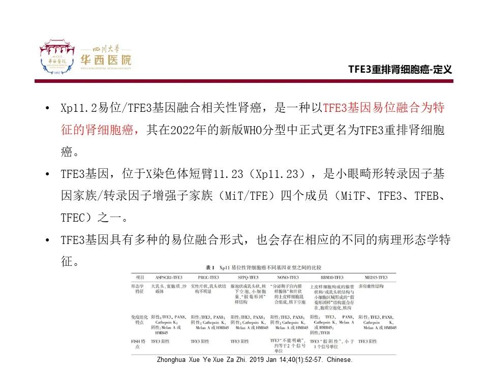 影像PPT - 【病例】TFE3重排肾细胞癌1例CT影像-6