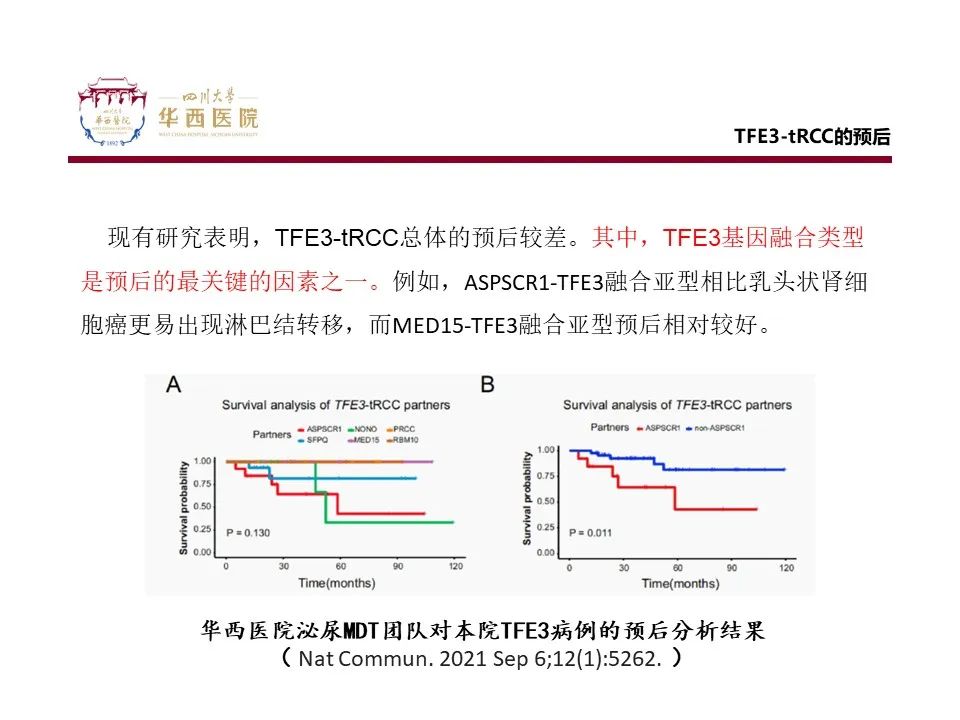 影像PPT - 【病例】TFE3重排肾细胞癌1例CT影像-14
