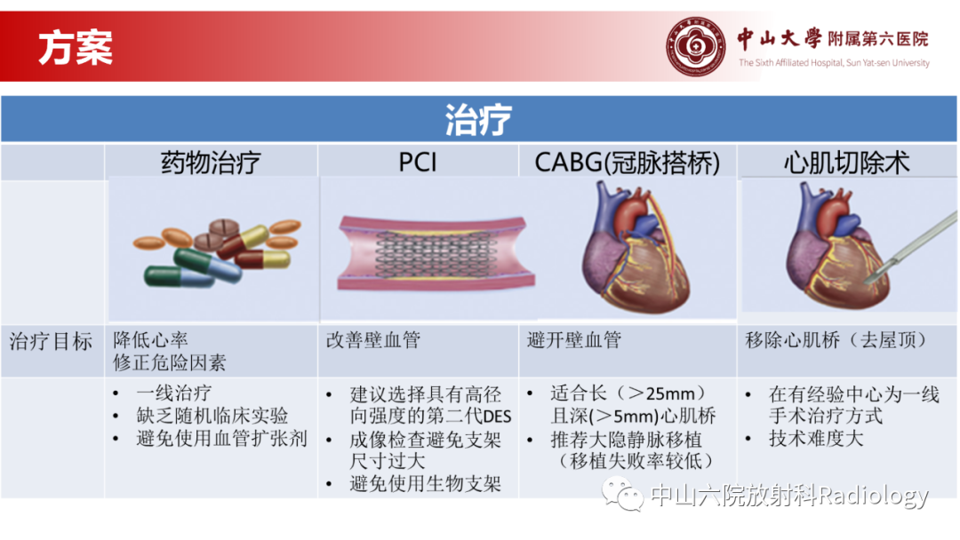 影像PPT - 【PPT】心肌桥的分型及影像诊断-20