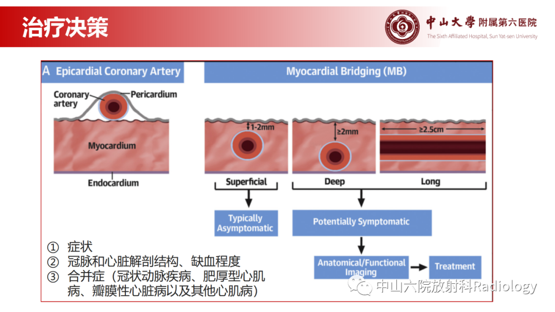 影像PPT - 【PPT】心肌桥的分型及影像诊断-21