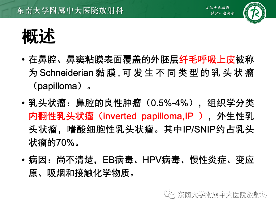 影像PPT - 【PPT】鼻腔鼻窦内翻性乳头状瘤-6