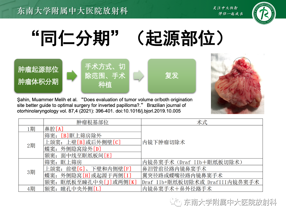 影像PPT - 【PPT】鼻腔鼻窦内翻性乳头状瘤-10