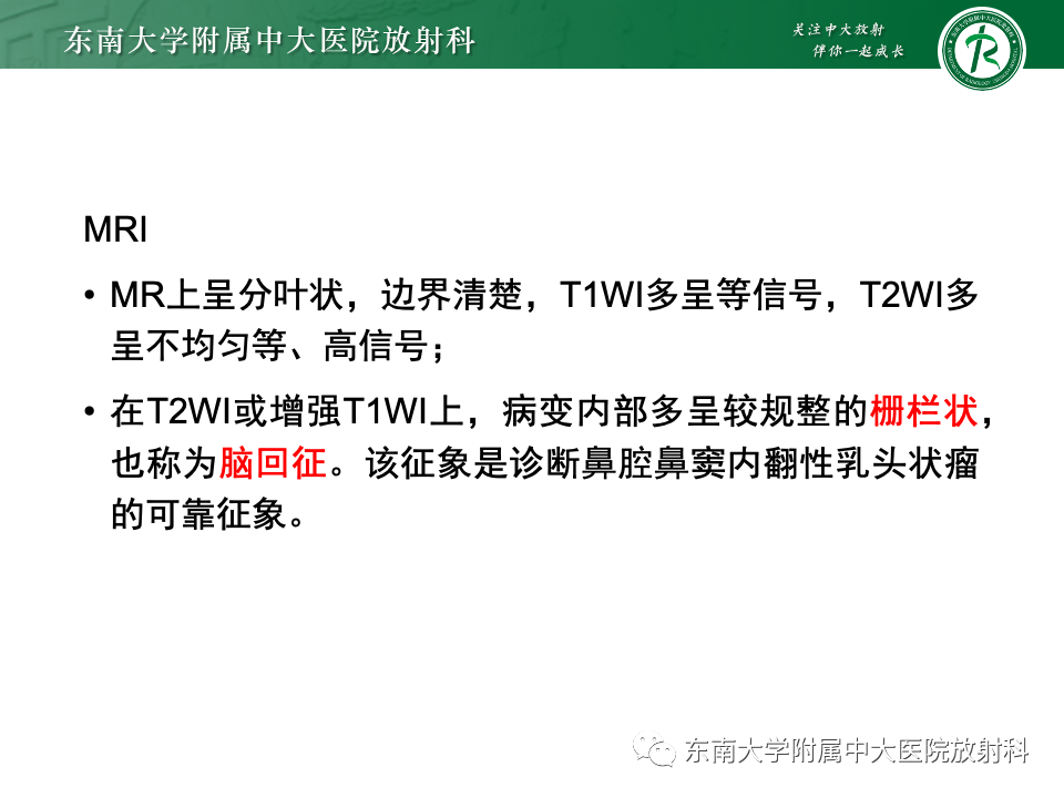 影像PPT - 【PPT】鼻腔鼻窦内翻性乳头状瘤-13