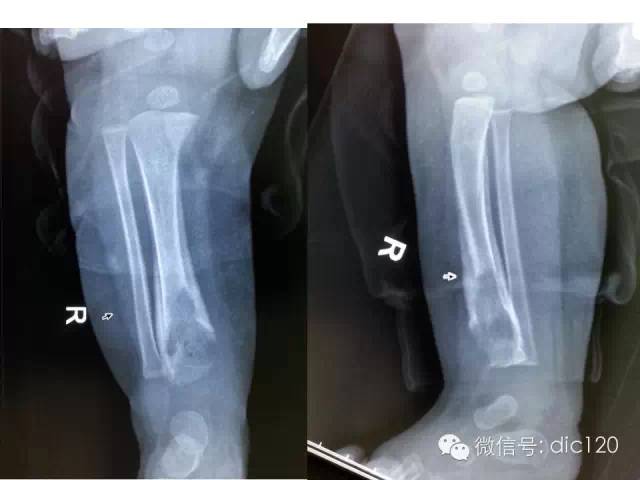 影像PPT - \