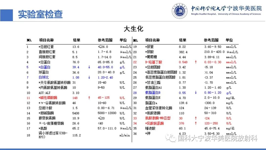 影像PPT - 【PPT】原发性肝脏神经内分泌肿瘤-4