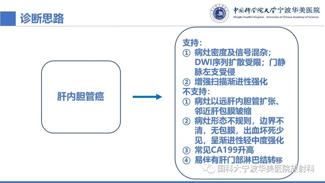 影像PPT - 【PPT】原发性肝脏神经内分泌肿瘤-13
