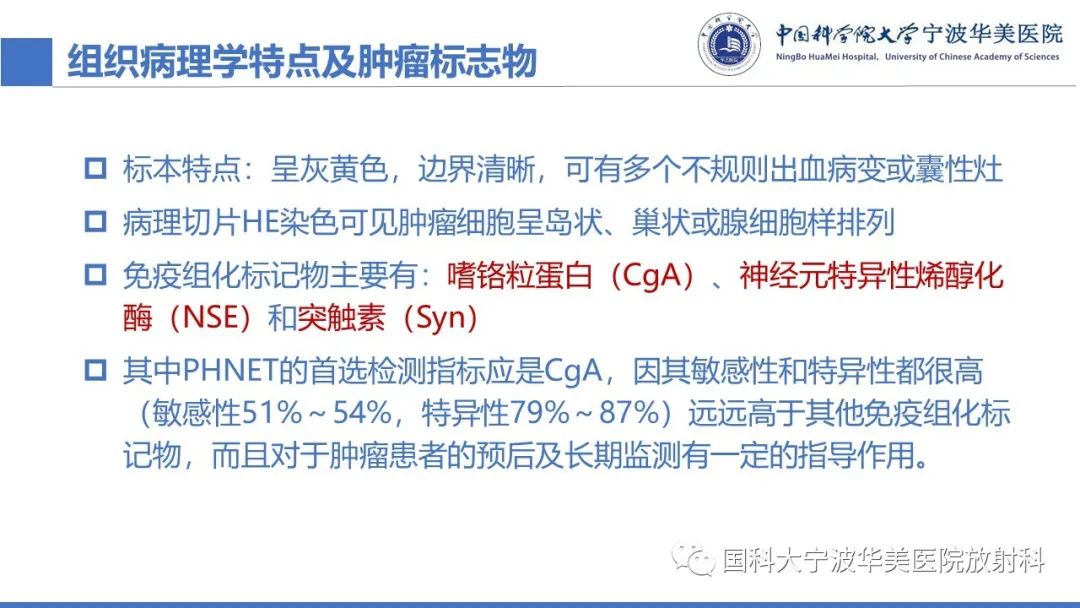 影像PPT - 【PPT】原发性肝脏神经内分泌肿瘤-24