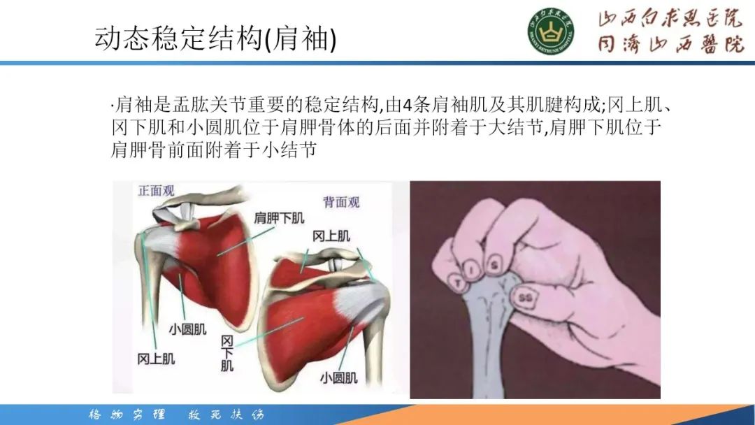 影像PPT - 【PPT】肩关节损伤的MRI表现-4