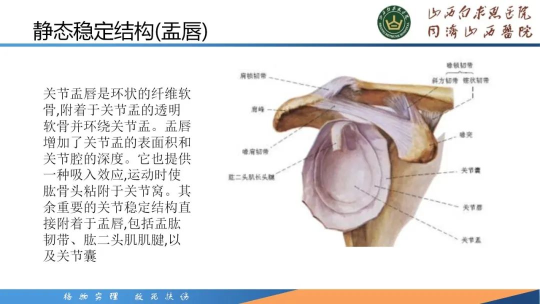 影像PPT - 【PPT】肩关节损伤的MRI表现-5