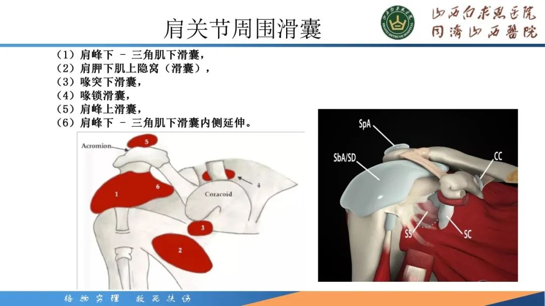 影像PPT - 【PPT】肩关节损伤的MRI表现-11