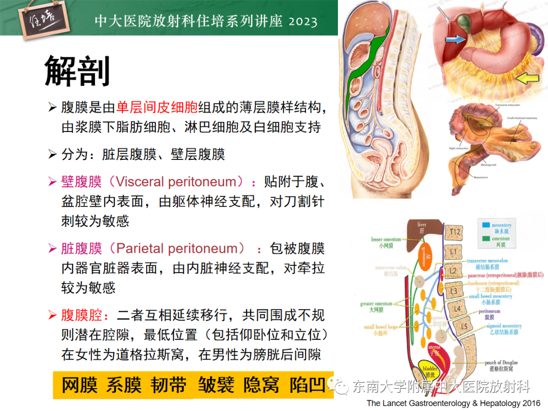 影像PPT - 【PPT】腹膜弥漫性病变-2