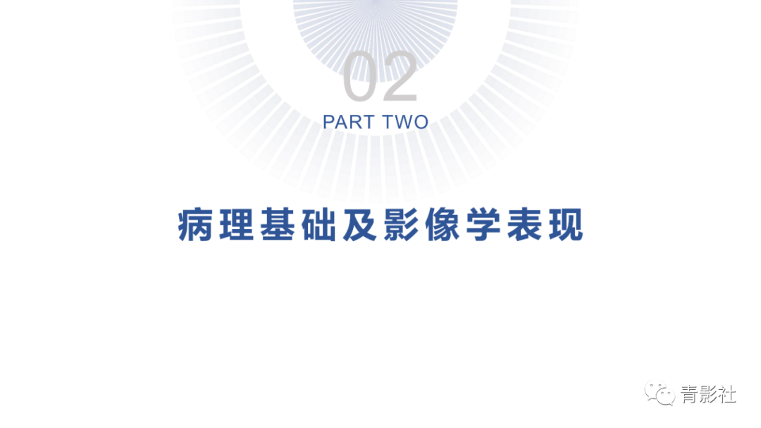 影像PPT - 【PPT】结节病的影像诊断思路-11