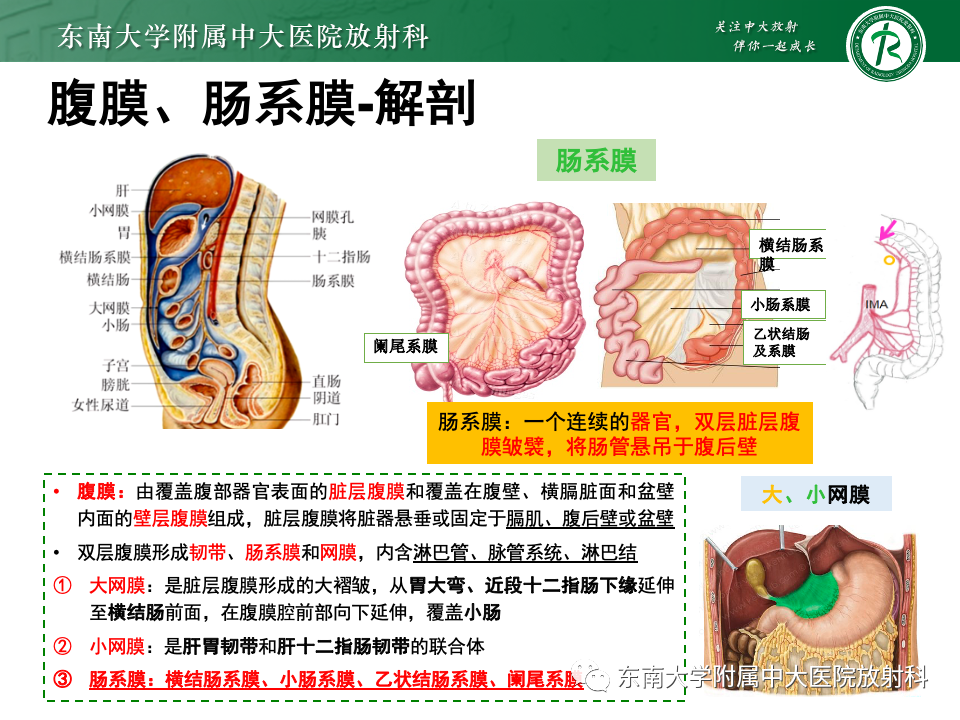 影像PPT - 【PPT】肠系膜区占位病例随访-19