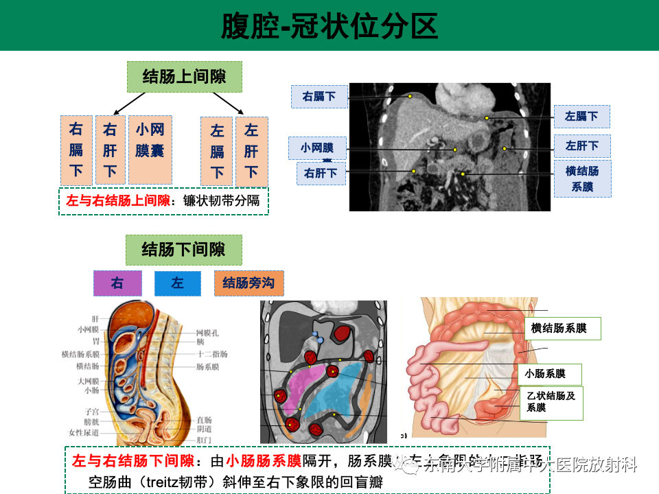 影像PPT - 【PPT】肠系膜区占位病例随访-22