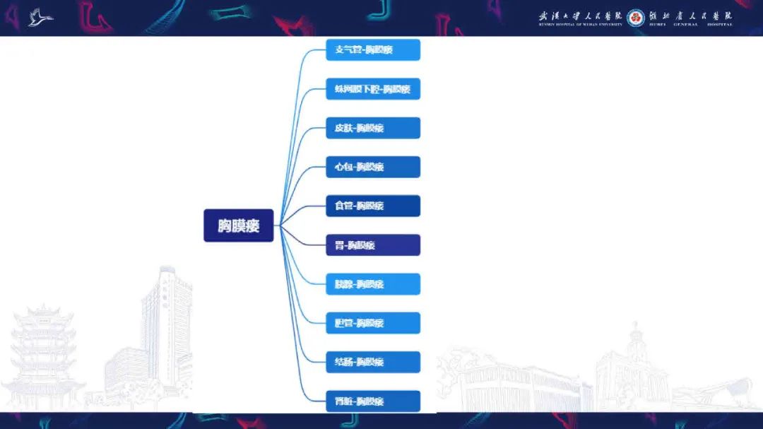 影像PPT - 【PPT】胸膜瘘影像诊断-3